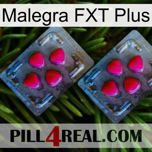 Malegra FXT Plus 14.jpg